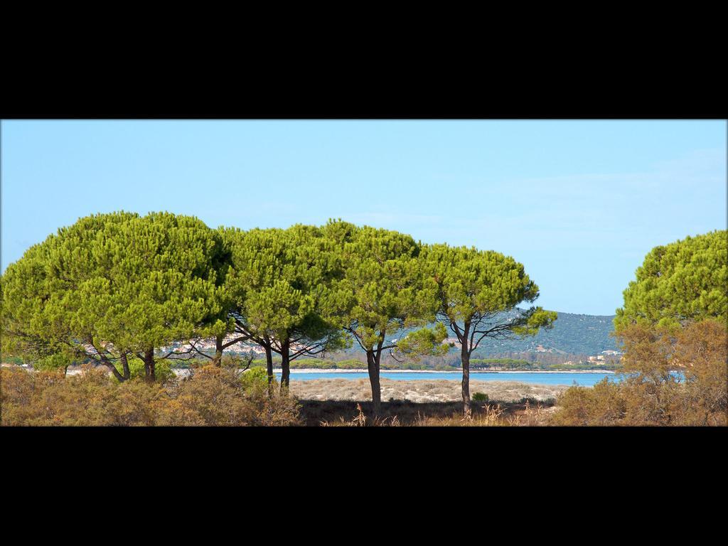 Residenze Mare e Pineta Aparthotel Budoni Esterno foto