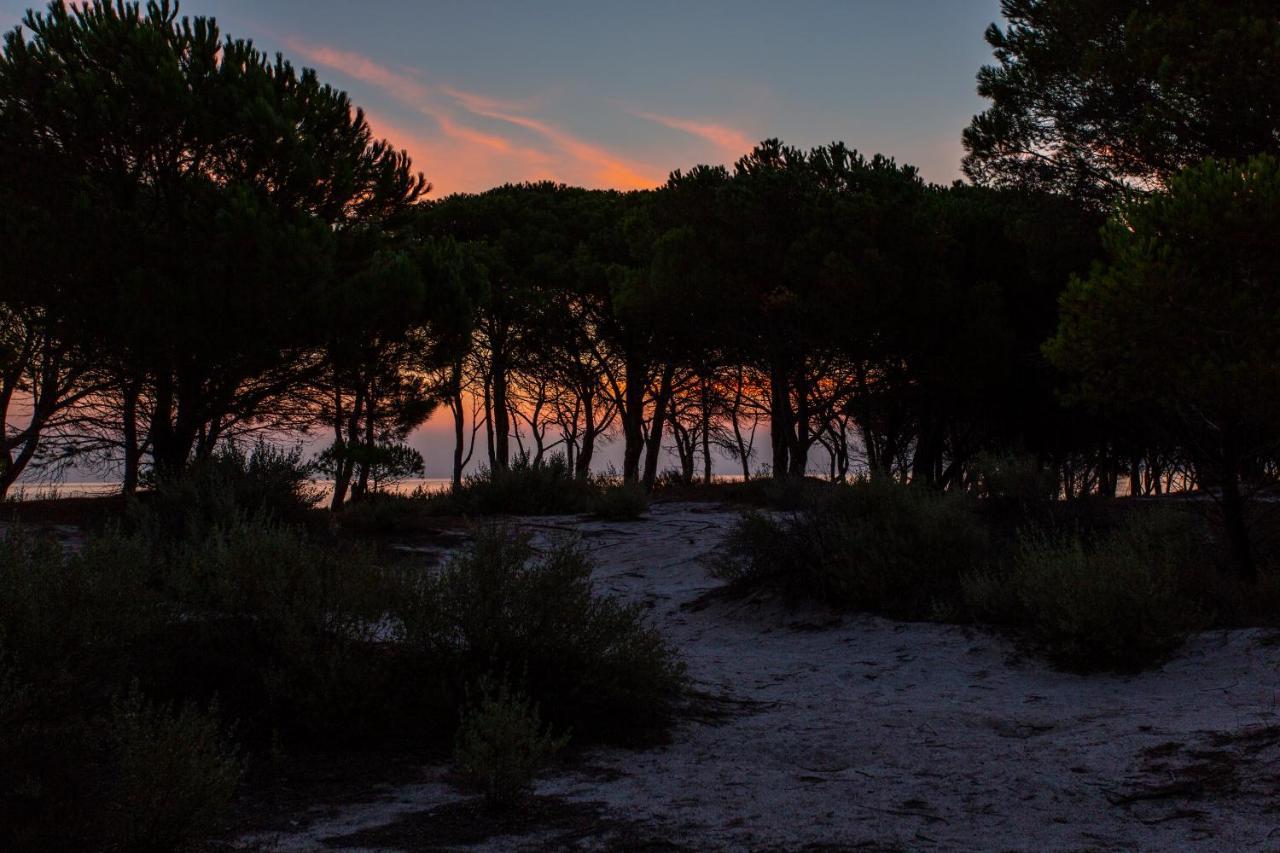 Residenze Mare e Pineta Aparthotel Budoni Esterno foto