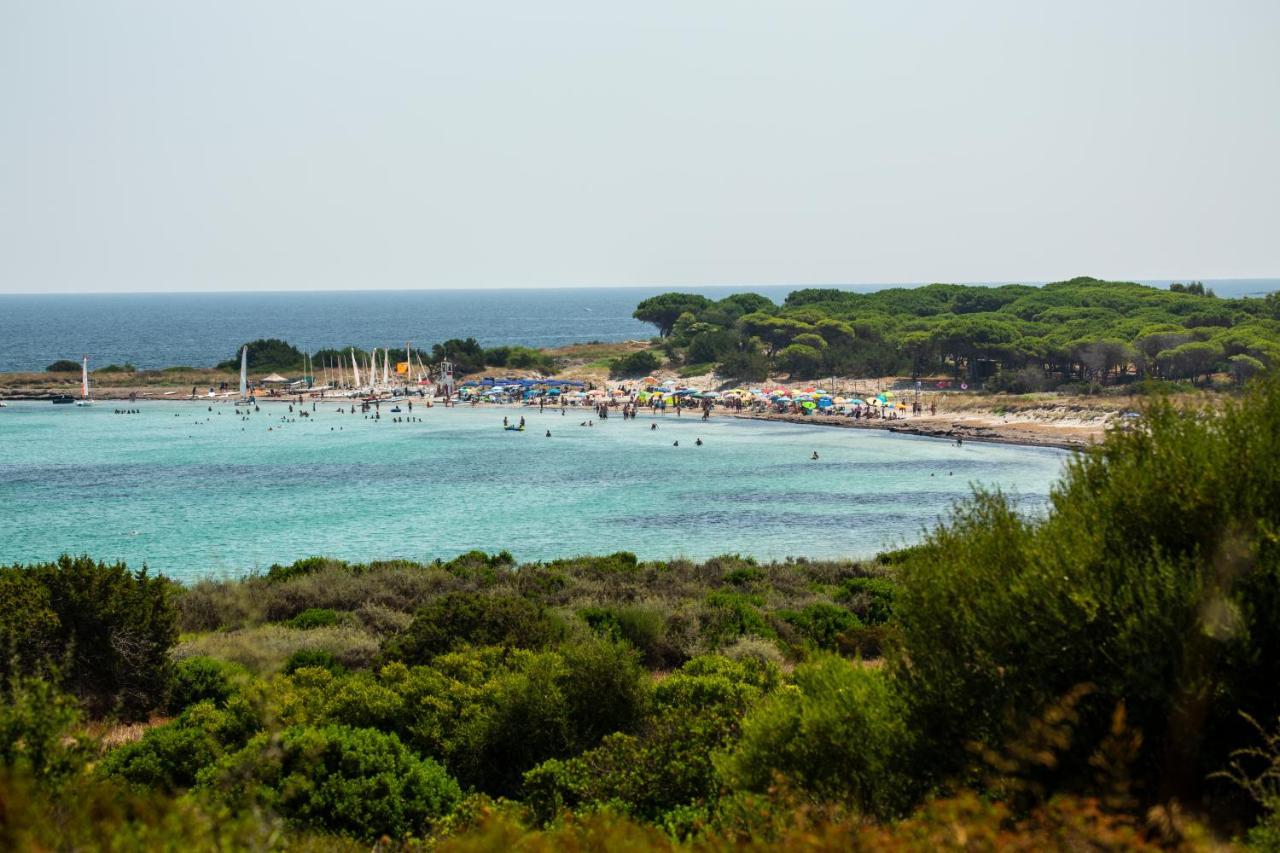 Residenze Mare e Pineta Aparthotel Budoni Esterno foto